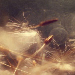 Rauhnächte- petra- irana- persy