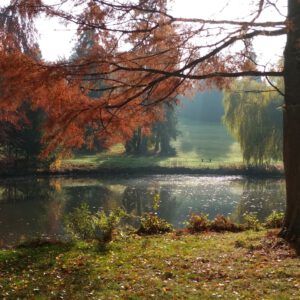 Dein Friedensfluss - Geführte Meditation zum Nähren deines inneren Friedens
