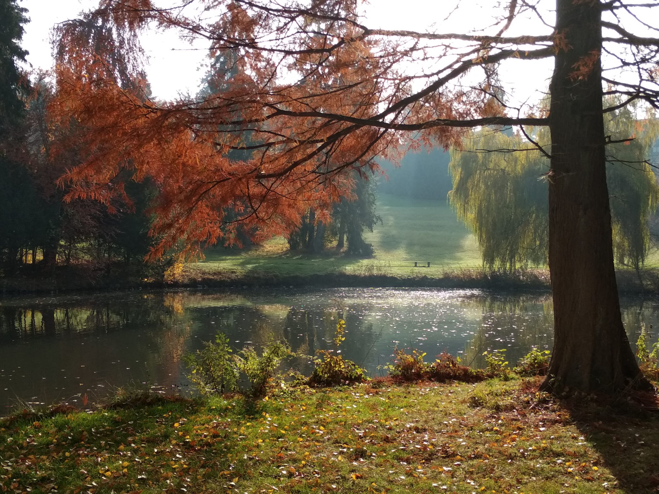 Dein Friedensfluss - Geführte Meditation zum Nähren deines inneren Friedens