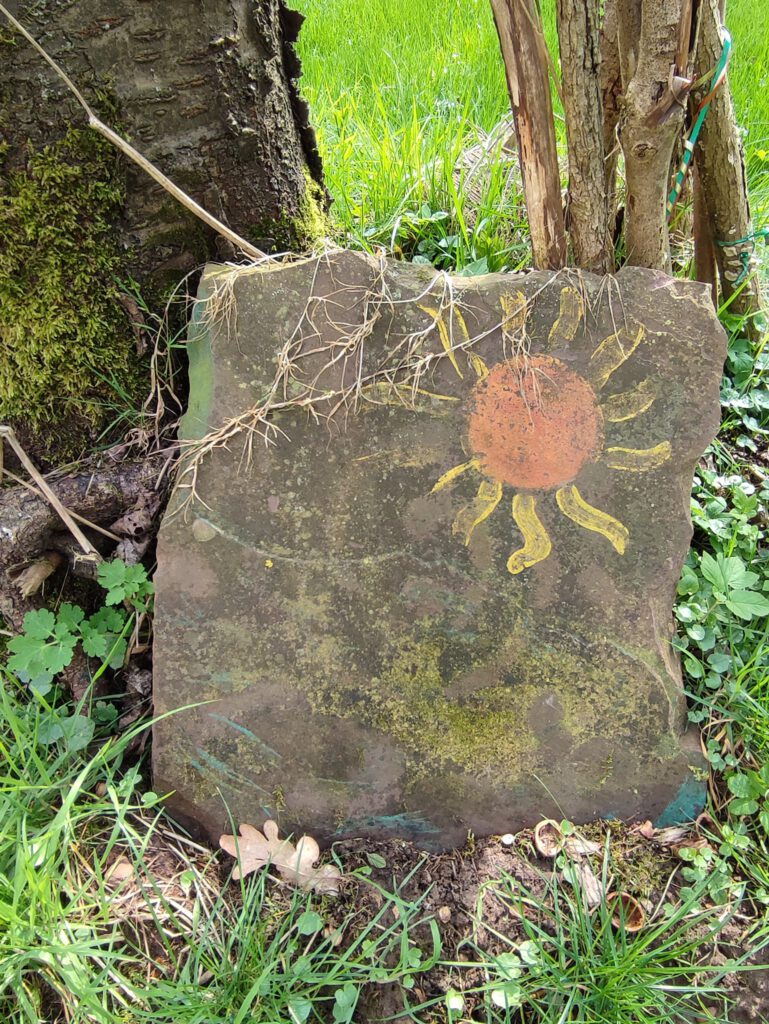 Monatsrückblick Juli 2025, Sonne auf Stein